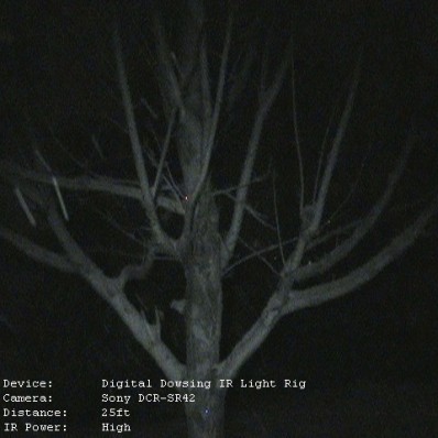 IR Light Rig Example Shot with Tree outside